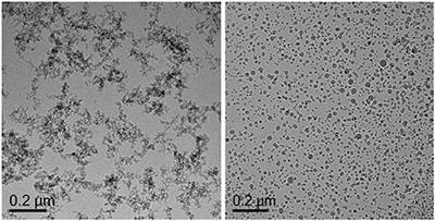 The Impact of Nanoparticle Adsorption on Transport and Wettability Alteration in Water-Wet Berea Sandstone: An Experimental Study